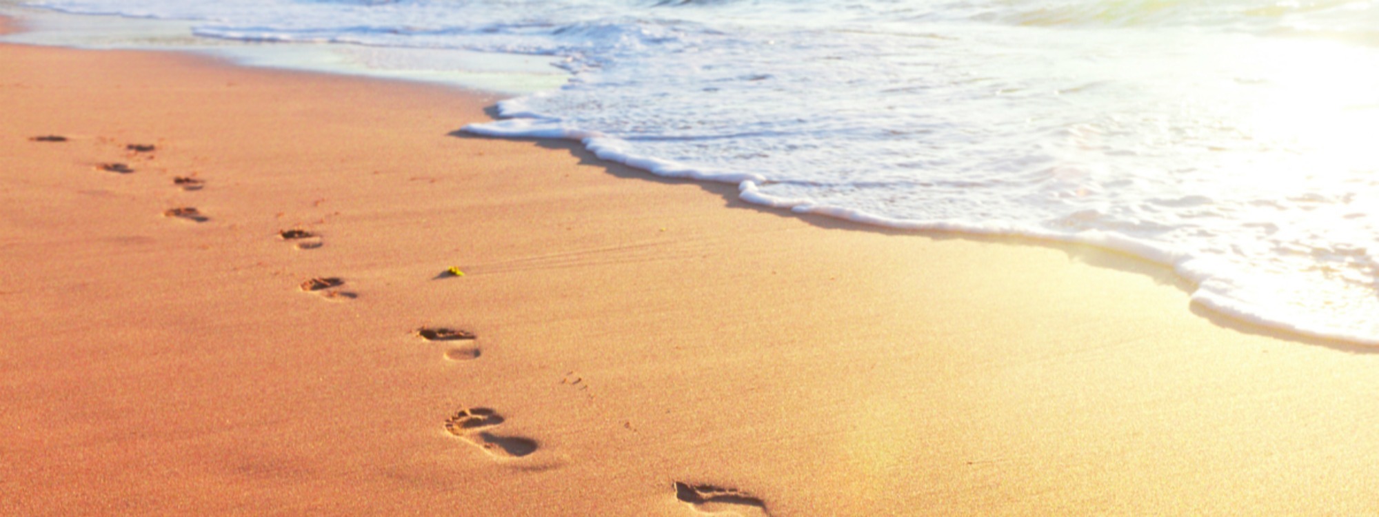 Theme Verse 2026
Proverbs 3:5-6